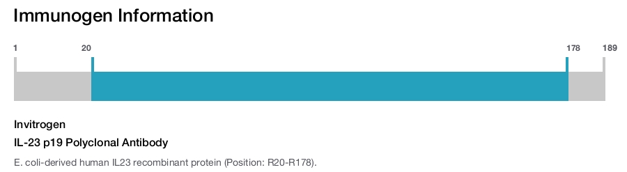 IL-23 p19 Polyclonal Antibody
