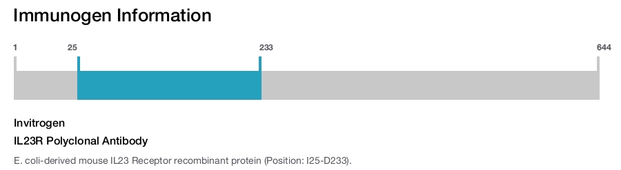 IL23R Polyclonal Antibody