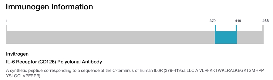 IL-6 Receptor (CD126) Polyclonal Antibody