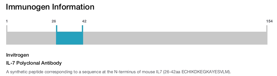 IL-7 Polyclonal Antibody