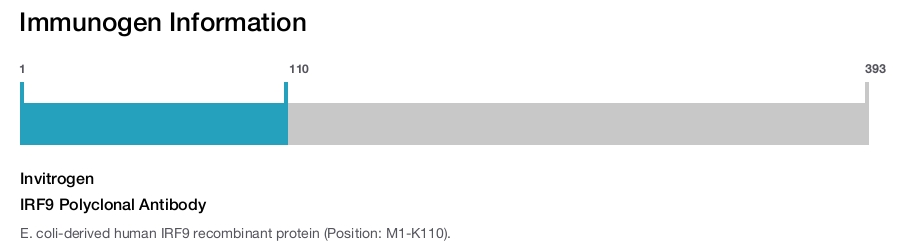 IRF9 Polyclonal Antibody