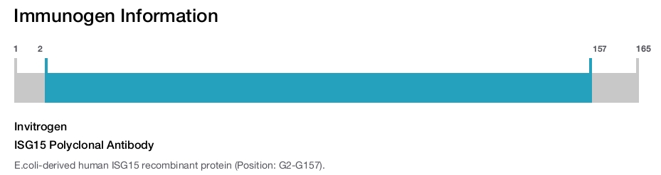 ISG15 Polyclonal Antibody
