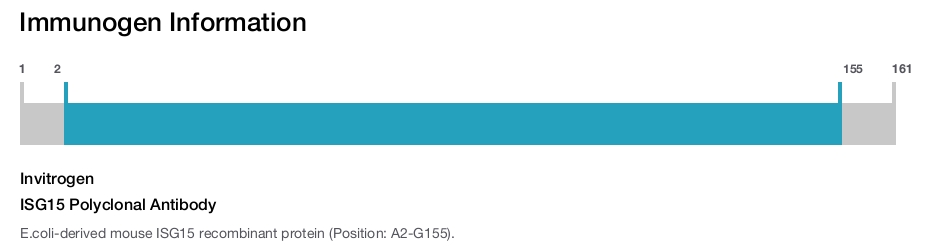 ISG15 Polyclonal Antibody