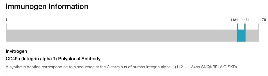 CD49a (Integrin alpha 1) Polyclonal Antibody