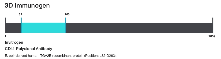 CD41 Polyclonal Antibody