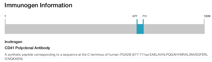 CD41 Polyclonal Antibody
