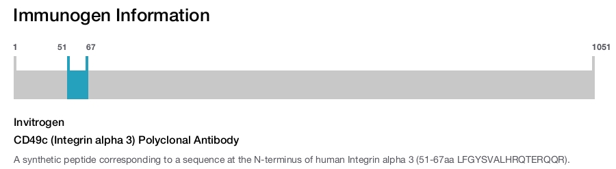 CD49c (Integrin alpha 3) Polyclonal Antibody