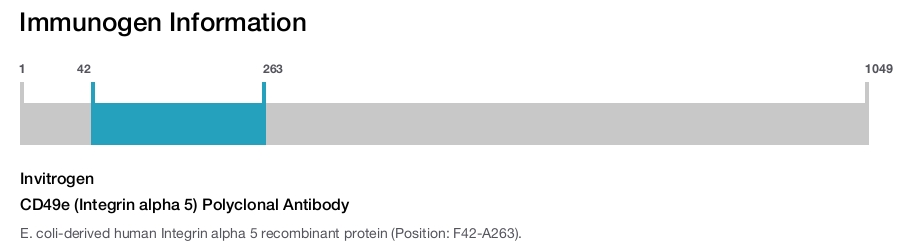 CD49e (Integrin alpha 5) Polyclonal Antibody