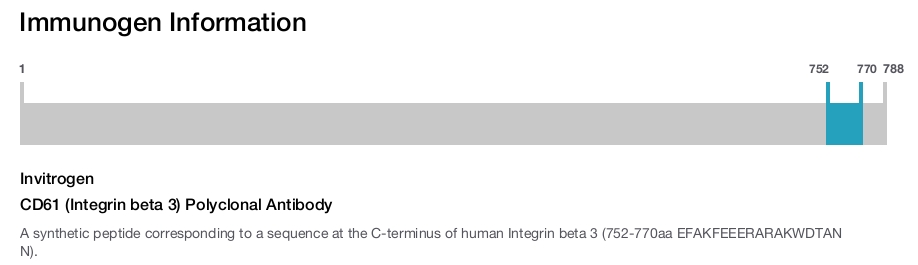 CD61 (Integrin beta 3) Polyclonal Antibody