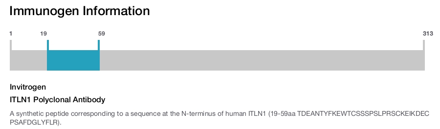 ITLN1 Polyclonal Antibody