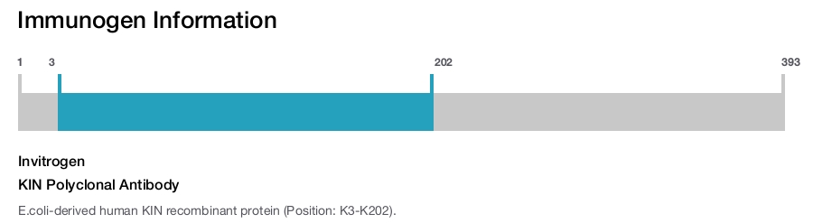 KIN Polyclonal Antibody
