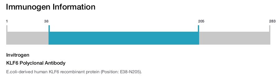 KLF6 Polyclonal Antibody