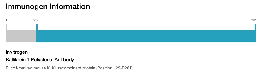 Kallikrein 1 Polyclonal Antibody