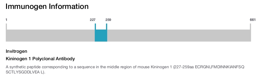Kininogen 1 Polyclonal Antibody