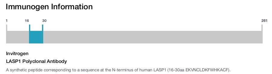 LASP1 Polyclonal Antibody