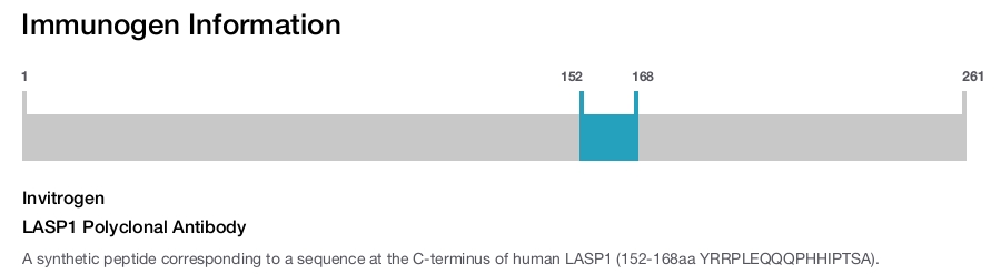 LASP1 Polyclonal Antibody