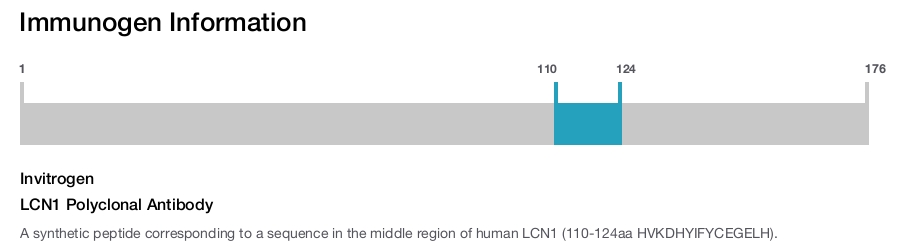 LCN1 Polyclonal Antibody