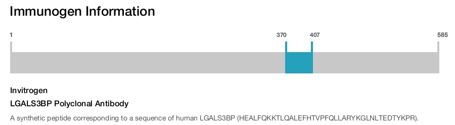 LGALS3BP Polyclonal Antibody