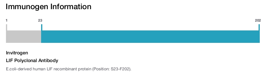 LIF Polyclonal Antibody