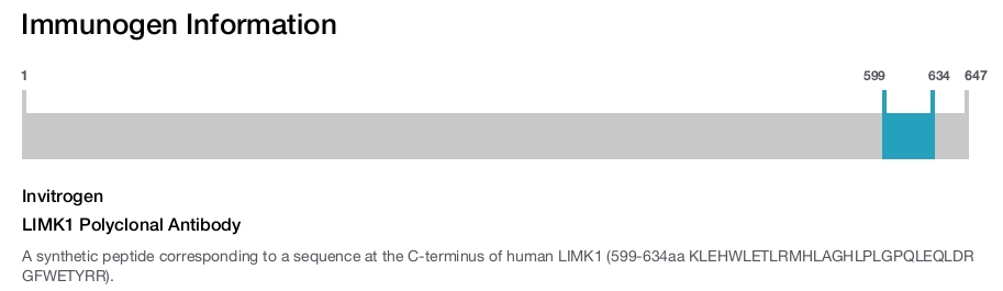 LIMK1 Polyclonal Antibody