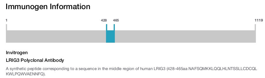 LRIG3 Polyclonal Antibody