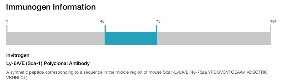 Ly-6A/E (Sca-1) Polyclonal Antibody
