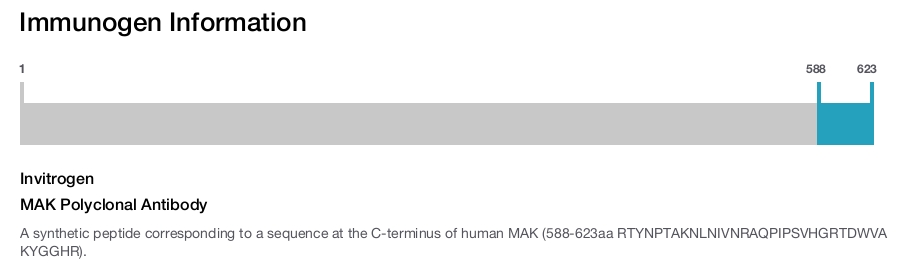 MAK Polyclonal Antibody