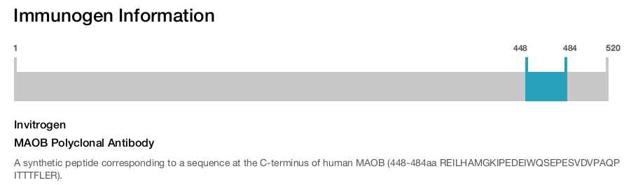 MAOB Polyclonal Antibody