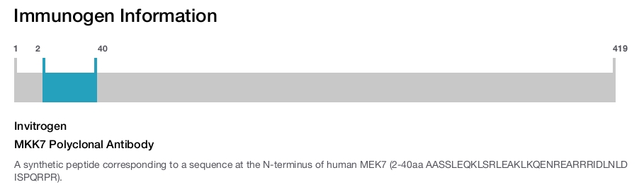 MKK7 Polyclonal Antibody