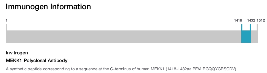 MEKK1 Polyclonal Antibody