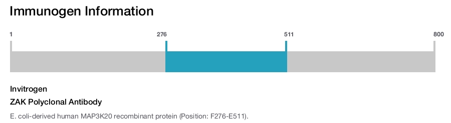 ZAK Polyclonal Antibody
