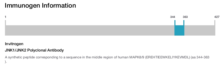 JNK1/JNK2 Polyclonal Antibody