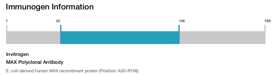 MAX Polyclonal Antibody