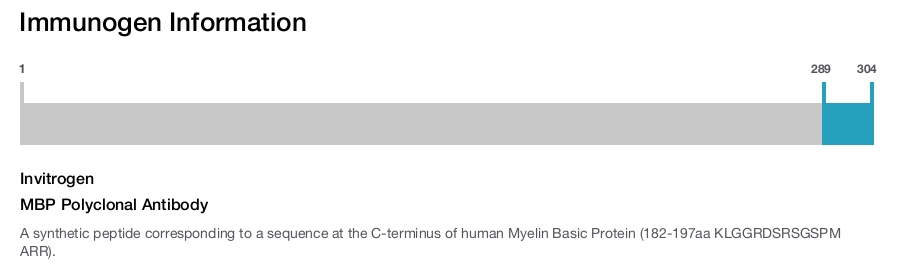 MBP Polyclonal Antibody