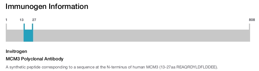 MCM3 Polyclonal Antibody