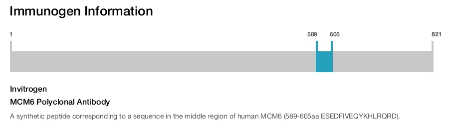 MCM6 Polyclonal Antibody