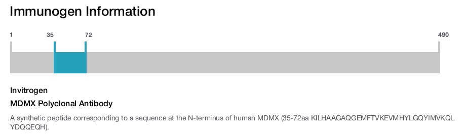 MDMX Polyclonal Antibody