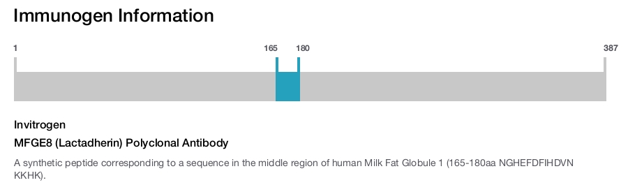 MFGE8 (Lactadherin) Polyclonal Antibody