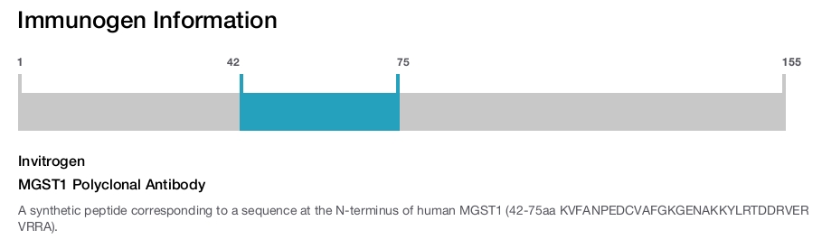 MGST1 Polyclonal Antibody