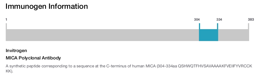 MICA Polyclonal Antibody
