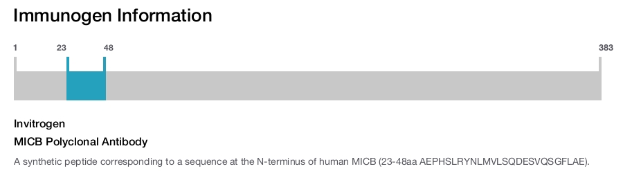 MICB Polyclonal Antibody