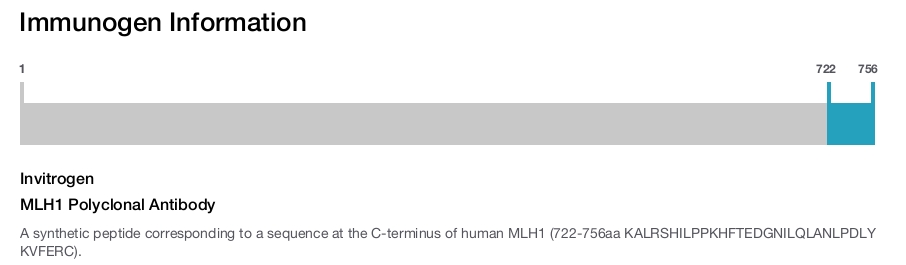 MLH1 Polyclonal Antibody