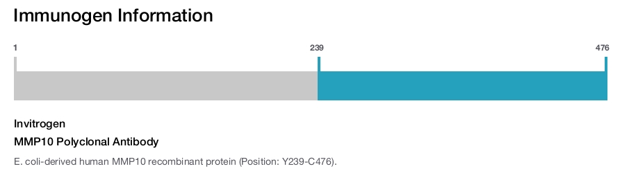MMP10 Polyclonal Antibody