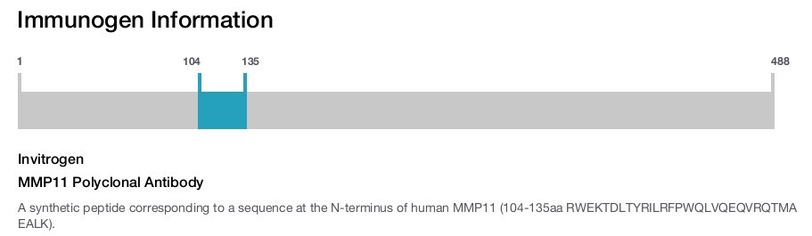 MMP11 Polyclonal Antibody