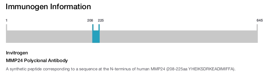 MMP24 Polyclonal Antibody