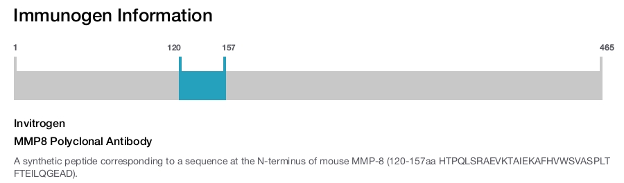 MMP8 Polyclonal Antibody