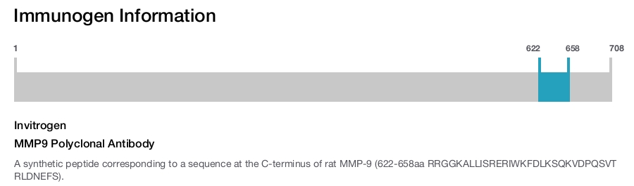 MMP9 Polyclonal Antibody