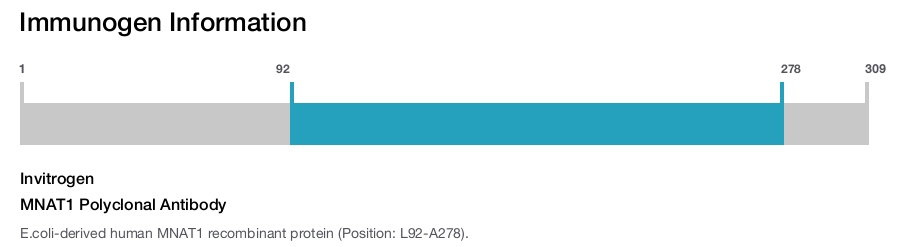 MNAT1 Polyclonal Antibody