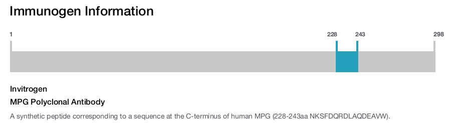 MPG Polyclonal Antibody
