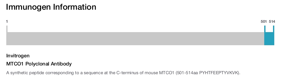 MTCO1 Polyclonal Antibody